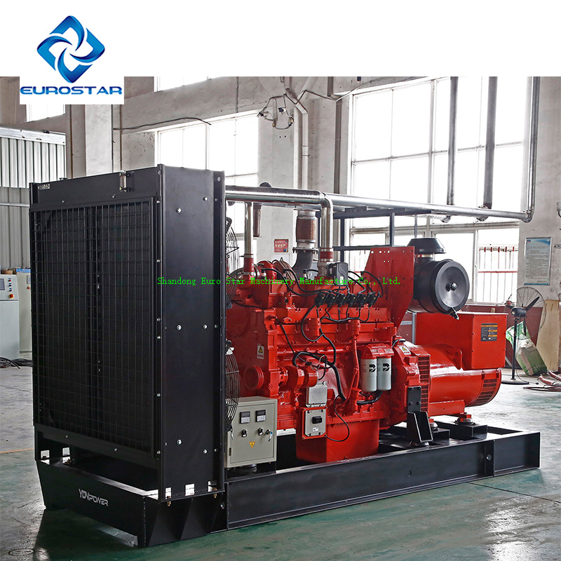 250kw Big Size Portable Silent natural gas Generator