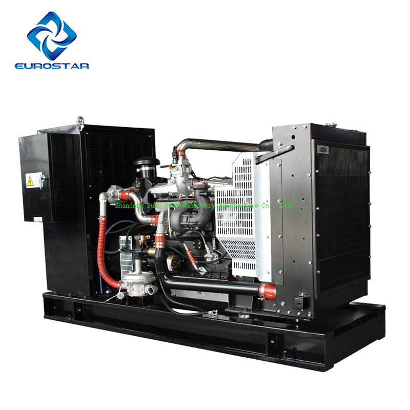 200kw Big Size Portable Silent natural gas Generator